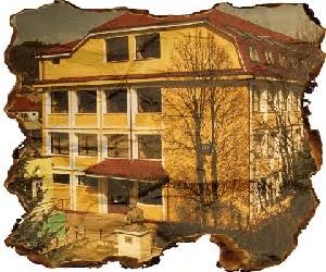 Colegiul Național „Avram Iancu” Câmpeni reconfirmă tradiția excelenței în educație: promovabilitate de 95,70% la sesiunea iunie-iulie 2026 a Bacalaureatului